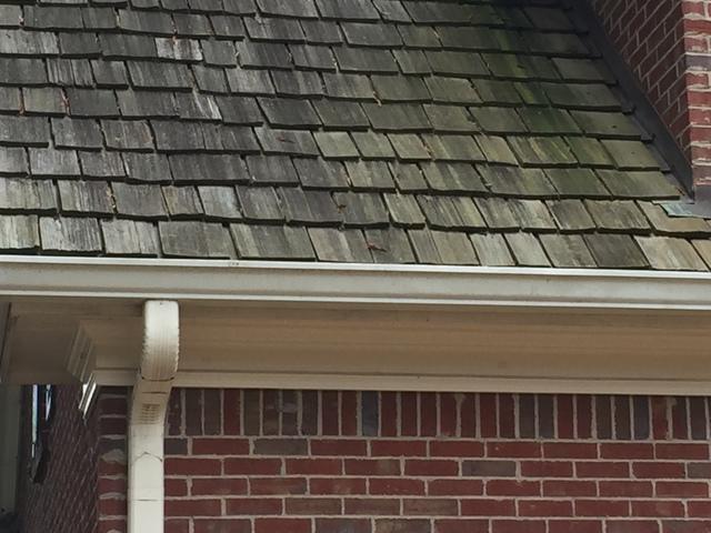 Mastershield Gutter Guard Replacement In Roswell, GA